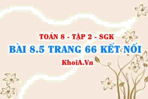 Bài 8.5 trang 66 Toán 8 Kết nối tri thức Tập 2